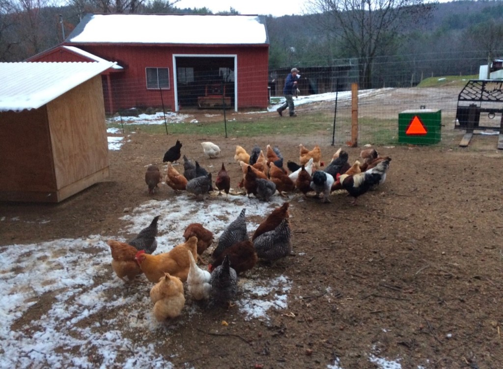 April Rise Farm Our Farm Anniversary – Birch Rise Farm